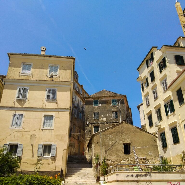 Walking tour with tasting olives and koum kouat products