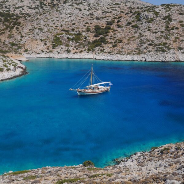 Semi-Private Paxos & Antipaxos Cruise